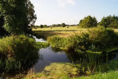 See how Rural Drone Services can help your project