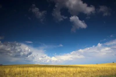 Transforming Agriculture